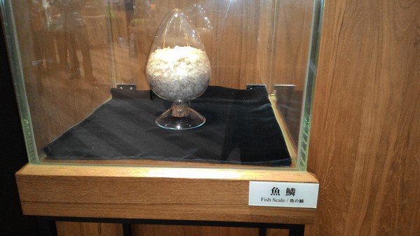 虱目魚主題館：來去抓虱目魚2..  寓教於樂篇~