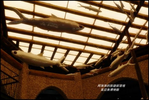 虱目魚博物館4.JPG