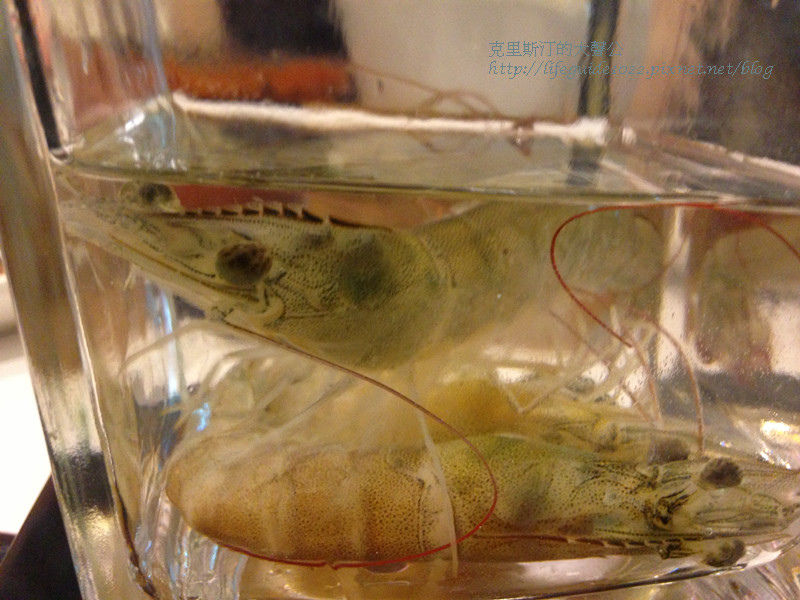 “契”雙舞鍋 022_副本