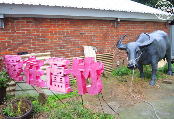 坑口彩繪村：作伙來企投【桃園蘆竹･坑口彩繪村】超過千坪的彩繪村