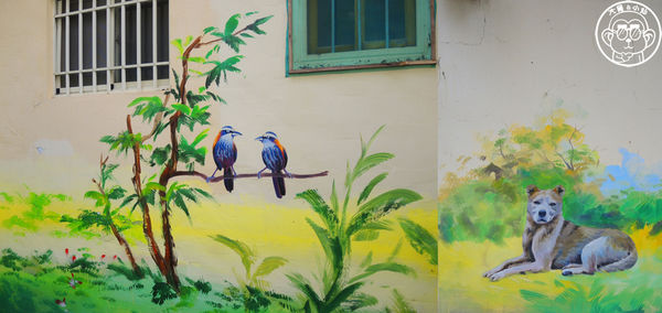 坑口彩繪村：作伙來企投【桃園蘆竹･坑口彩繪村】超過千坪的彩繪村