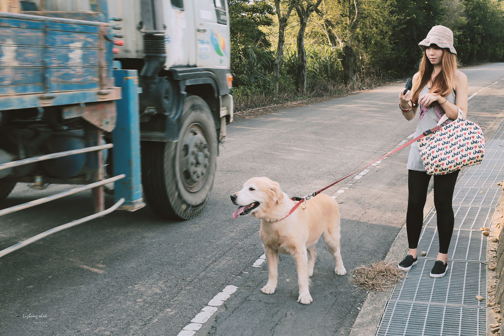 小狗的好自在午後茶園散策