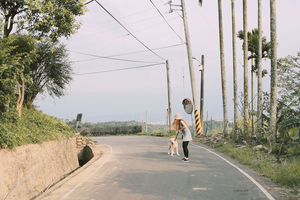 小狗的好自在午後茶園散策