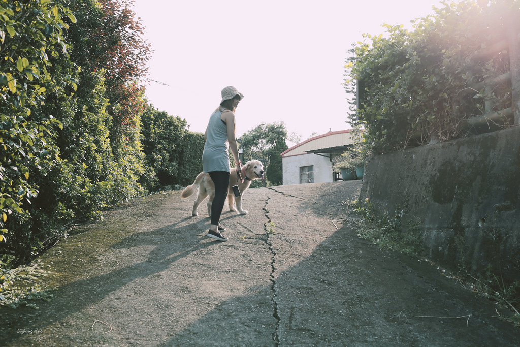 小狗的好自在午後茶園散策