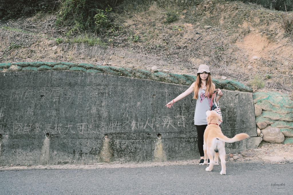 小狗的好自在午後茶園散策