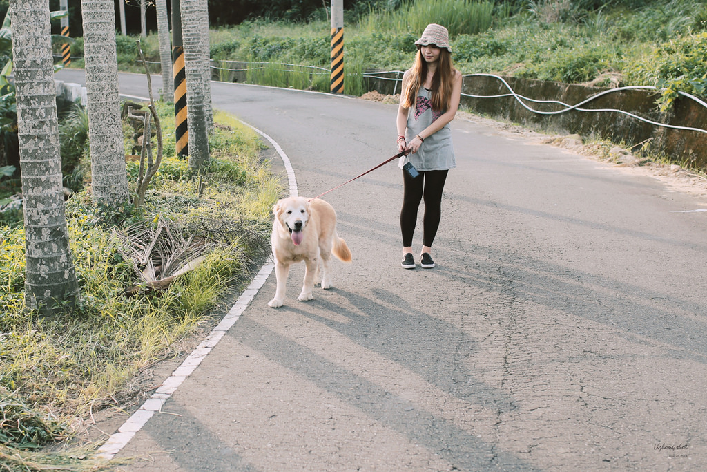 小狗的好自在午後茶園散策