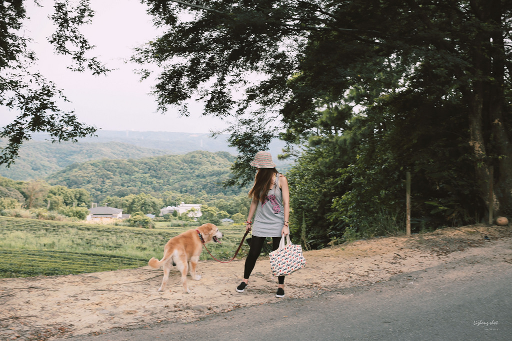 小狗的好自在午後茶園散策