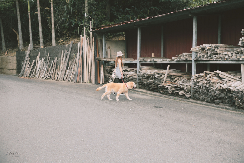 小狗的好自在午後茶園散策