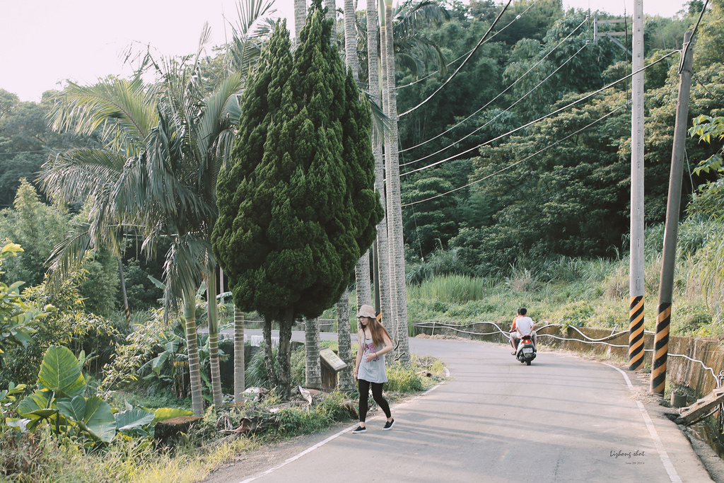 小狗的好自在午後茶園散策