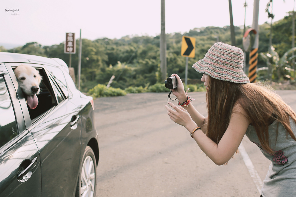 小狗的好自在午後茶園散策