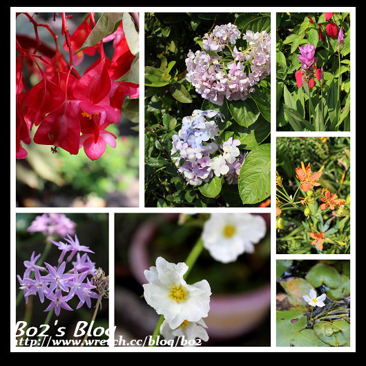 20130623宜蘭丹尼民宿