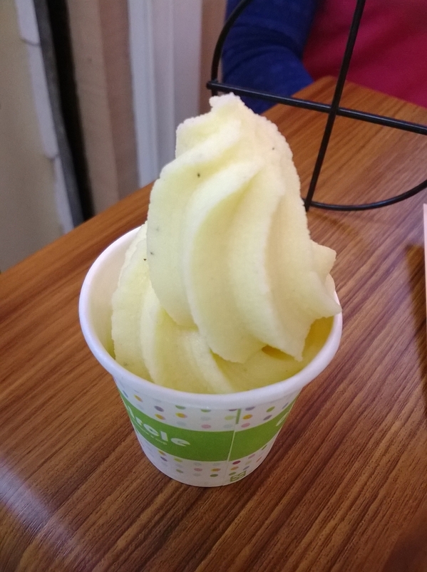 冷之果-手作幸福霜淇淋：沒有牛奶？!用早上買回來的新鮮水果做成超美味霜淇淋----冷之果-手作幸福霜淇淋