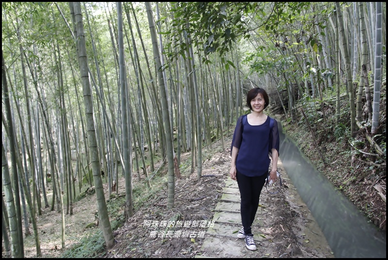 鹿谷長源圳古道5.JPG