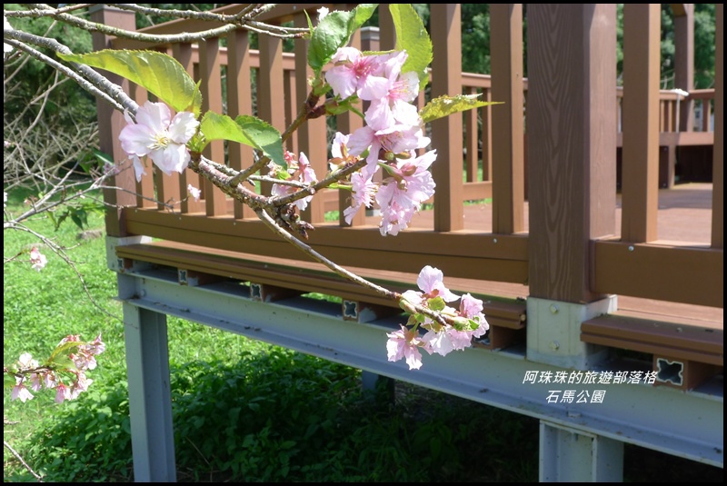 石馬公園3.JPG