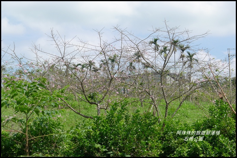 石馬公園8.JPG