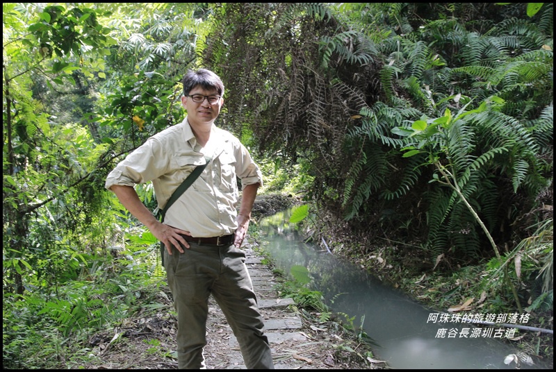 鹿谷長源圳古道2.JPG