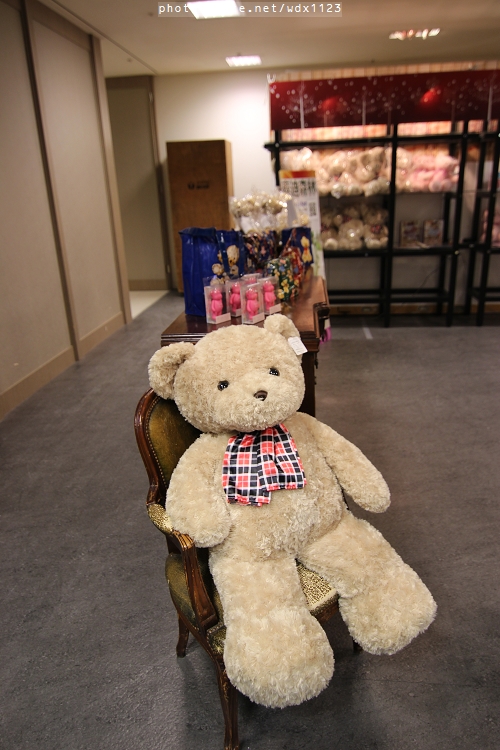 2013泰迪熊台中樂活嘉年華:2013泰迪熊台中樂活嘉年華❤花了9天才拍齊104隻『熊兒』~103.01.01更新