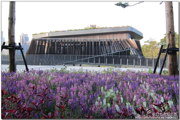 2013泰迪熊台中樂活嘉年華:2013泰迪熊台中樂活嘉年華❤花了9天才拍齊104隻『熊兒』~103.01.01更新