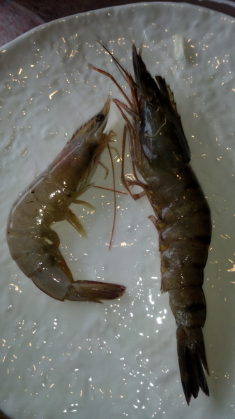 上澄鍋物：口碑22_『上澄鍋物』連台中市長胡志強都到訪的唷!