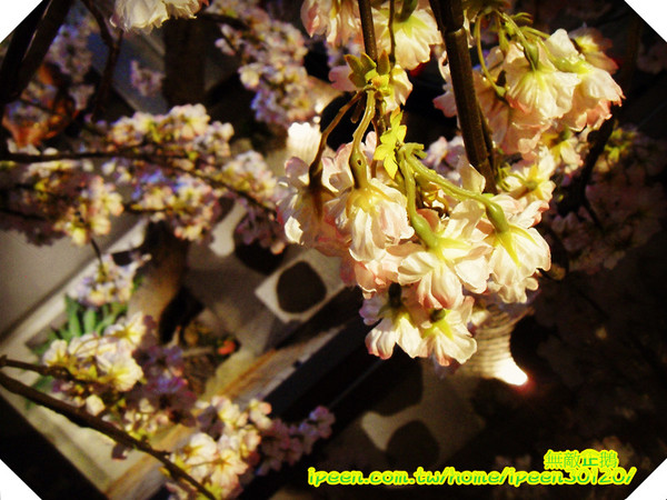 花見宇治抹茶甘味処:不用出國也能體驗日本風情 享受道地霜淇淋!!_《花見宇治抹茶甘味処》