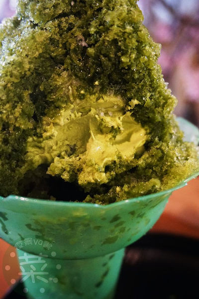 DSC09134 (複製).JPG