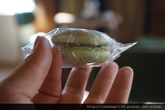 DSC06868 (複製).JPG