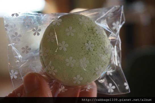 DSC06867 (複製).JPG