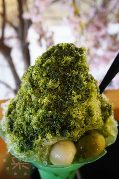 DSC09117 (複製).JPG