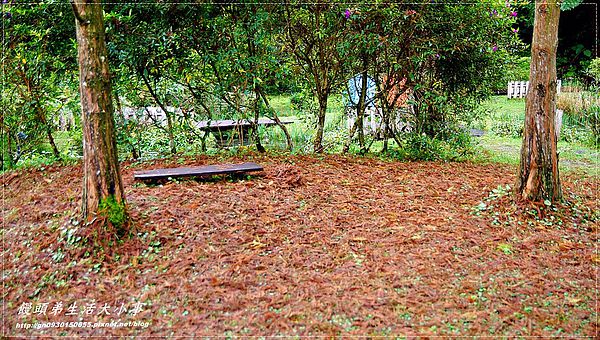 西雅圖的天空:【新北市/烏來】全家楊丞琳夯蕃薯拍攝地♪♪西雅圖的天空♪♪