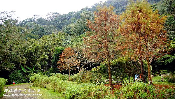 西雅圖的天空:【新北市/烏來】全家楊丞琳夯蕃薯拍攝地♪♪西雅圖的天空♪♪
