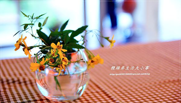 西雅圖的天空:【新北市/烏來】全家楊丞琳夯蕃薯拍攝地♪♪西雅圖的天空♪♪