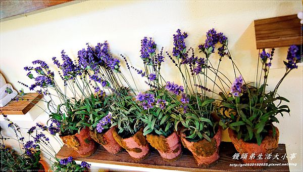 西雅圖的天空:【食記/新北市】來與大自然做近距離的接觸♪♪西雅圖的天空♪♪