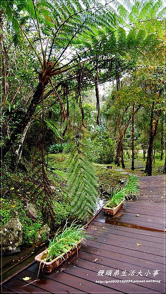 西雅圖的天空:【新北市/烏來】全家楊丞琳夯蕃薯拍攝地♪♪西雅圖的天空♪♪