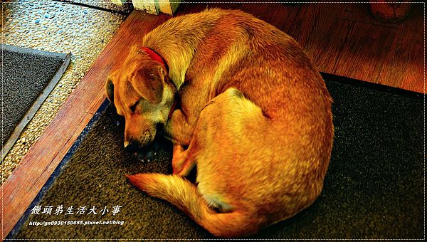 西雅圖的天空:【食記/新北市】來與大自然做近距離的接觸♪♪西雅圖的天空♪♪