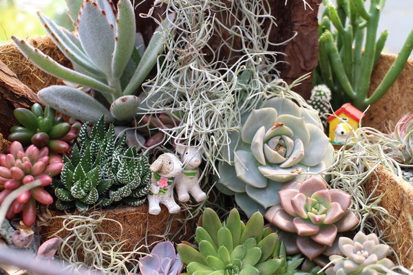 台北花卉村(Taipei Garden Mall)：「台北花卉村」紫藤花季‧春天小確幸