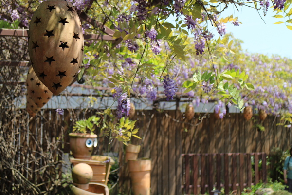 台北花卉村(Taipei Garden Mall)：「台北花卉村」紫藤花季‧春天小確幸