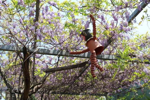 台北花卉村(Taipei Garden Mall)：「台北花卉村」紫藤花季‧春天小確幸