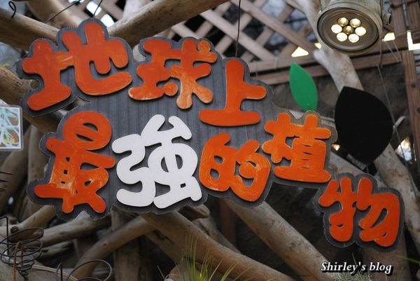 台北花卉村(Taipei Garden Mall):台北花卉村