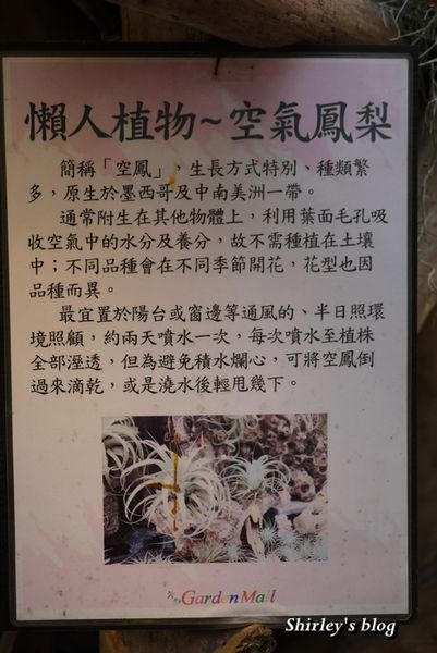 台北花卉村(Taipei Garden Mall):台北花卉村