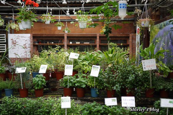 台北花卉村(Taipei Garden Mall):台北花卉村