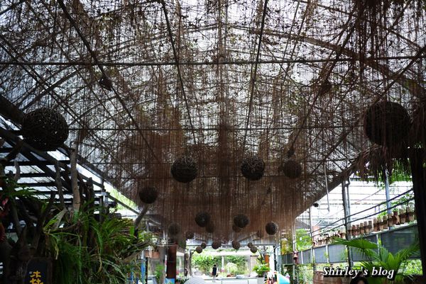 台北花卉村(Taipei Garden Mall):台北花卉村