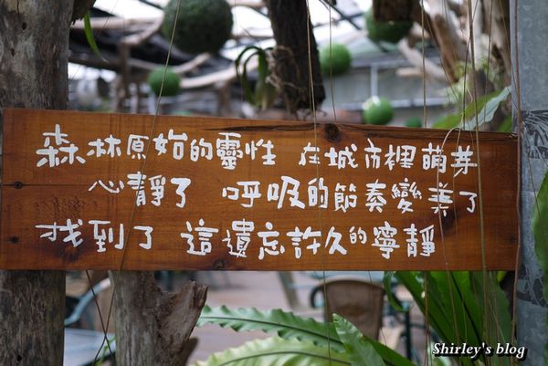 台北花卉村(Taipei Garden Mall):台北花卉村