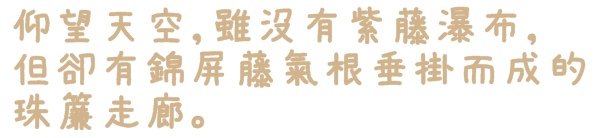 台北花卉村(Taipei Garden Mall):【台北◍•ᴗ•◍社子】賞花・台北花卉村賞紫藤花2015・3/20花況✯親子DIY景點|沉醉於紫藤花戀情