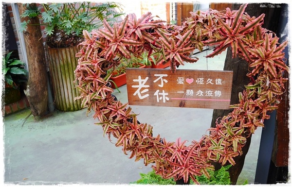 台北花卉村(Taipei Garden Mall):【台北◍•ᴗ•◍社子】賞花・台北花卉村賞紫藤花2015・3/20花況✯親子DIY景點|沉醉於紫藤花戀情