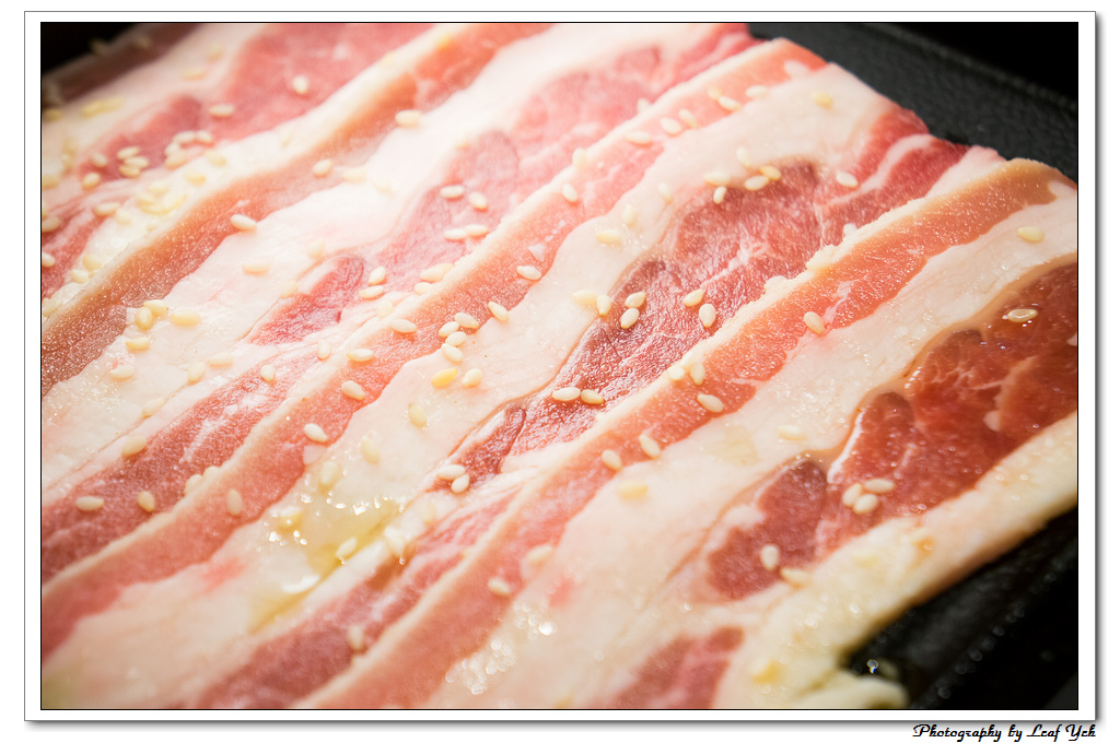 葉影瓶像版權所有