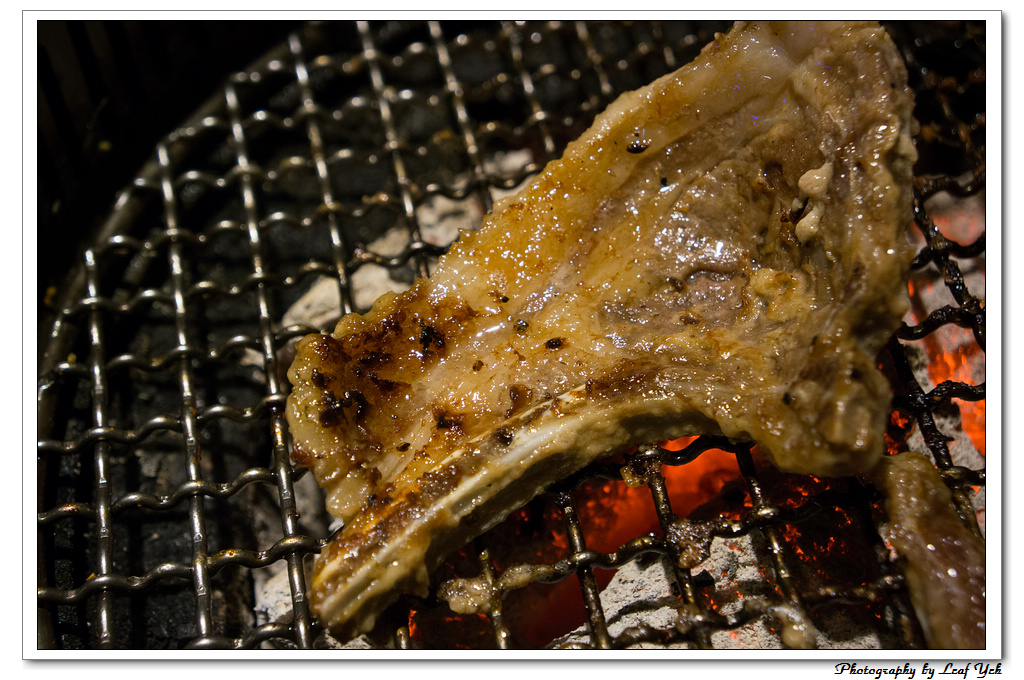 葉影瓶像版權所有