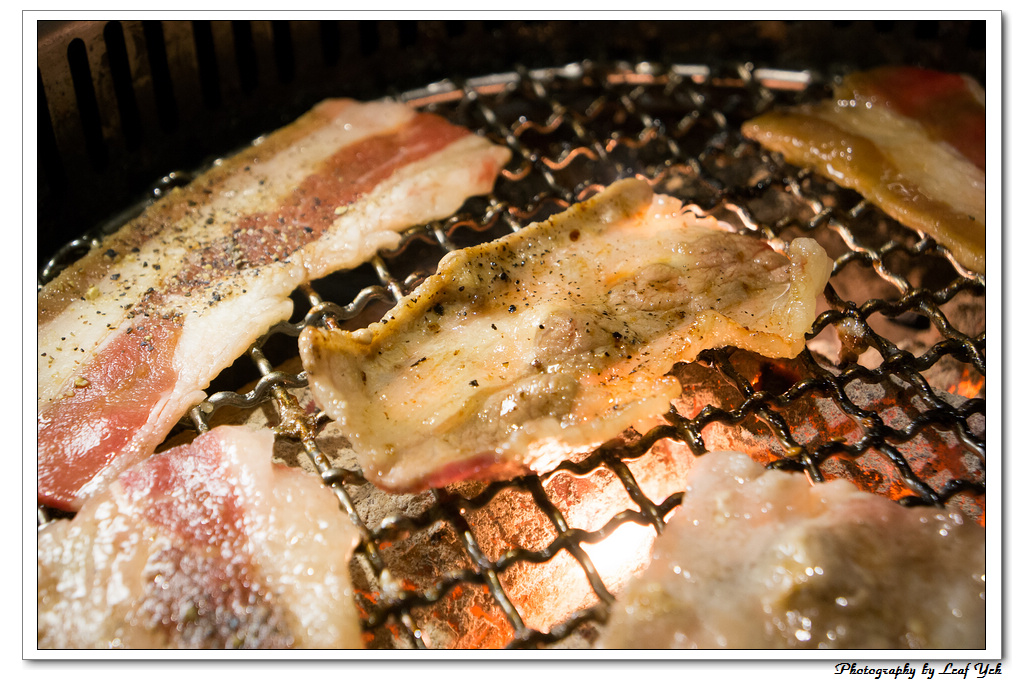 葉影瓶像版權所有