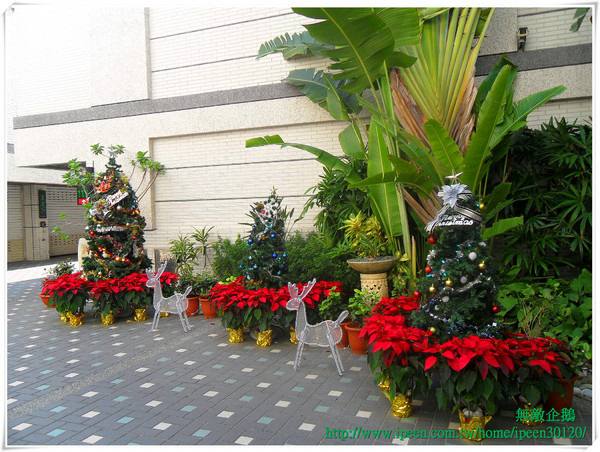 青森Dryad時尚餐館：【Go Tainan試吃邀約】蝦米？在旅館也能品嚐「秋蟹」!!!!_《青森Dryad時尚餐廳》