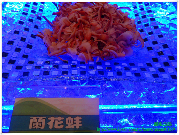 青森Dryad時尚餐館：【Go Tainan試吃邀約】蝦米？在旅館也能品嚐「秋蟹」!!!!_《青森Dryad時尚餐廳》