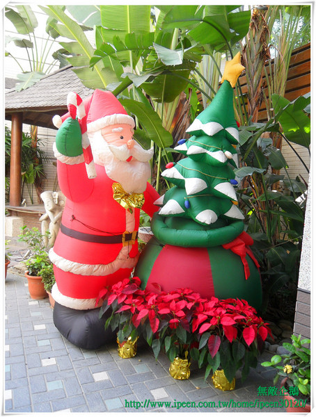 青森Dryad時尚餐館：【Go Tainan試吃邀約】蝦米？在旅館也能品嚐「秋蟹」!!!!_《青森Dryad時尚餐廳》